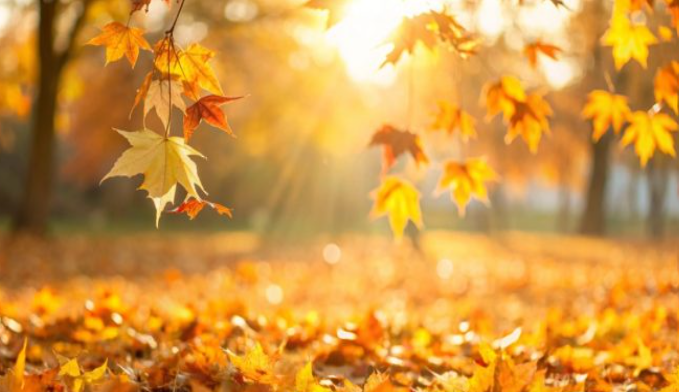 Retraite méditation yoga doux 2026