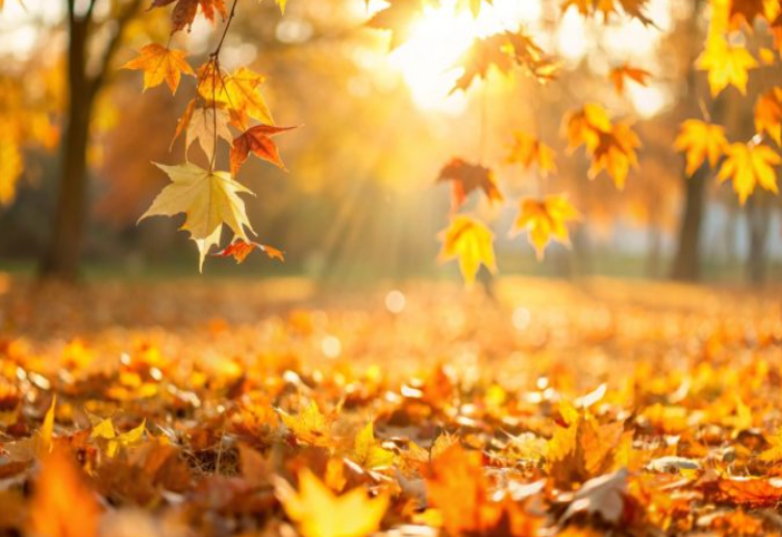 Retraite méditation yoga doux 2026